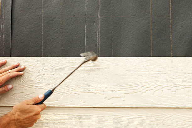 Best Siding Painting and Refinishing  in Hilliard, FL